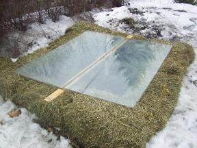 Here is one version of a cold frame we have experimented with.  Low cost, and the bales of straw can then be used to mulch the garden in the summer.