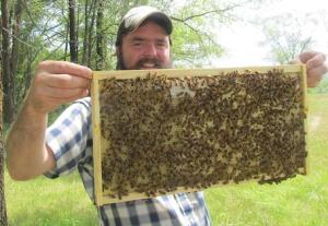 A full frame of bees capping their honey!!