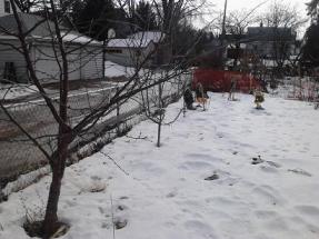 Here is a view of our side garden.  You can see a cherry, plum, and apple tree and a bunch of snow.  
