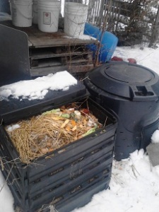 Here are our two main compost bins.  The chickens' new home will be behind this area.