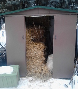 Here is the rusty, old shed!  A home for garden tools, bedding straw, and probably some lucky mice!!