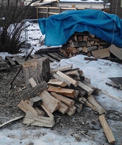 The Wood Pile!!!