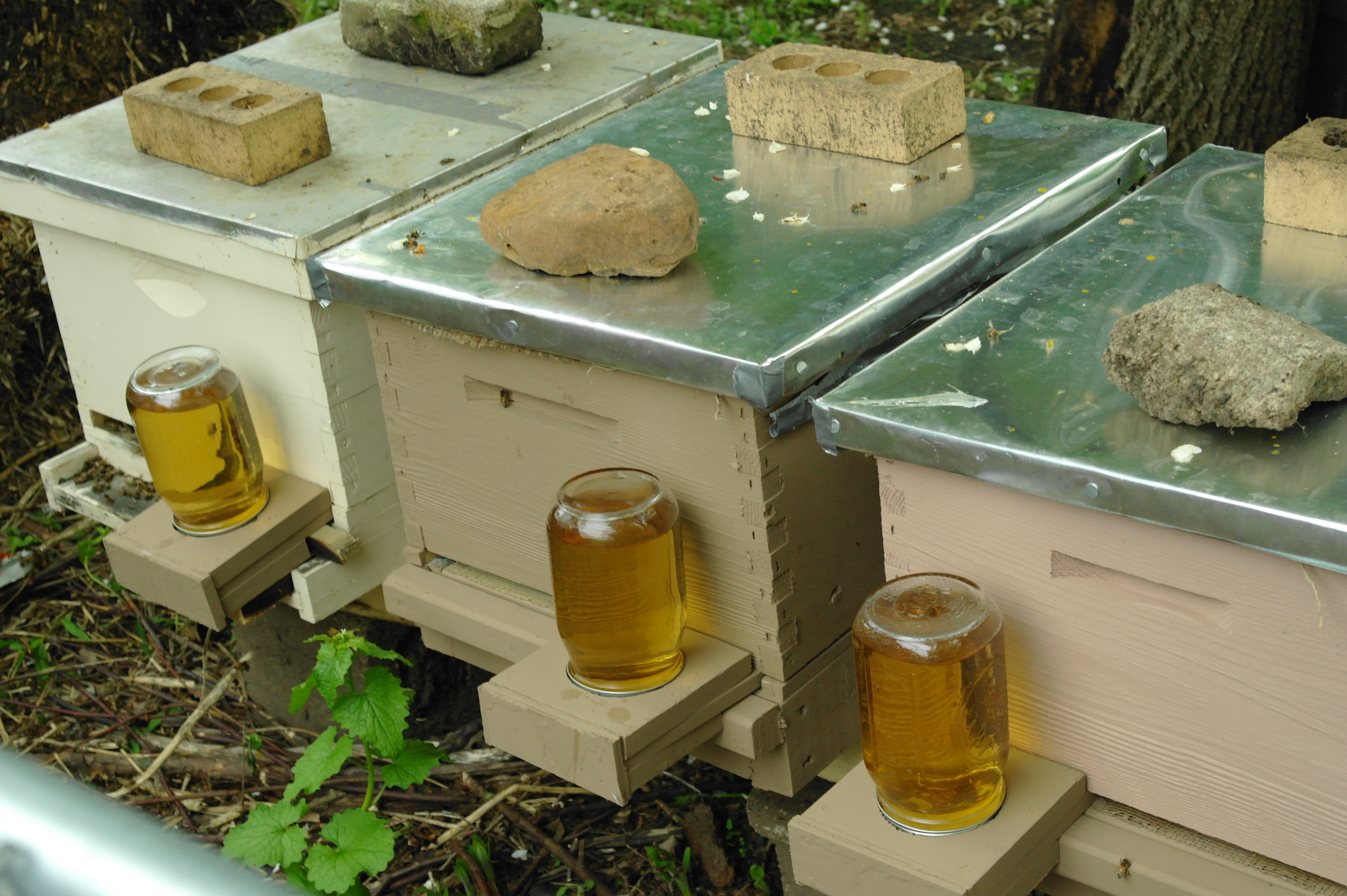 5 Frame Nucs and DIY Wooden Ware Autonomy Acres