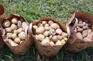 baggedpotatoes