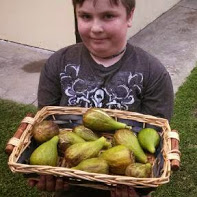 My son Owen with a basketful of fresh, Italian figs!