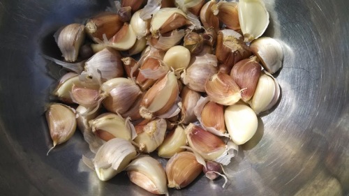 Garlic for planting